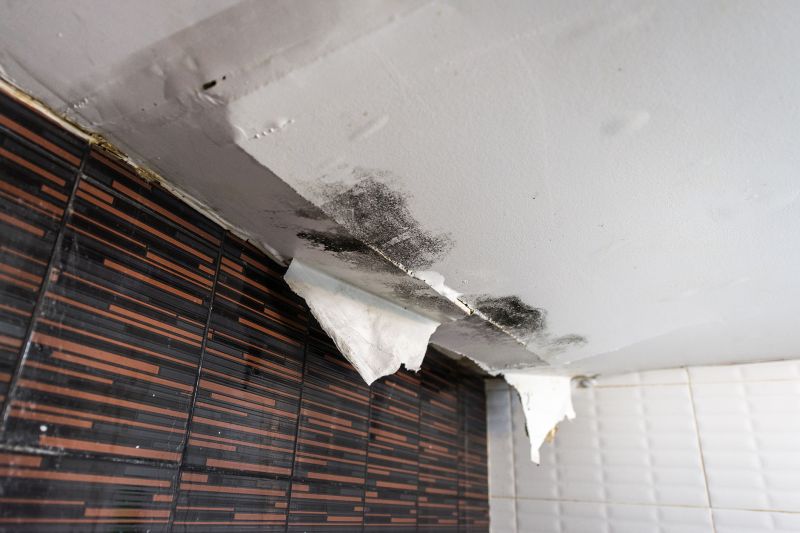 Ceiling Leak Repair Service in Charleston, SC