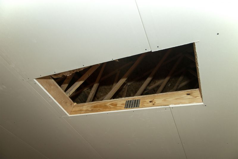 Attic Water Damage Repair in Denver County, CO