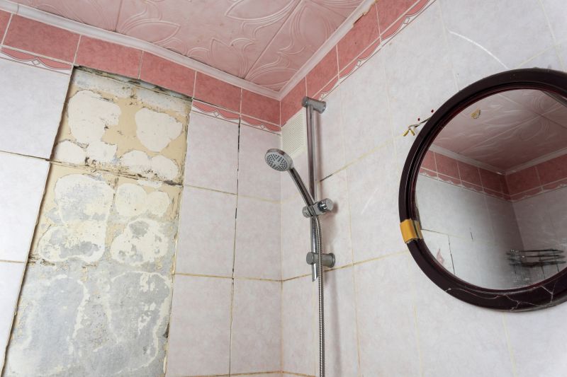 Bathroom Construction in Denver County, CO