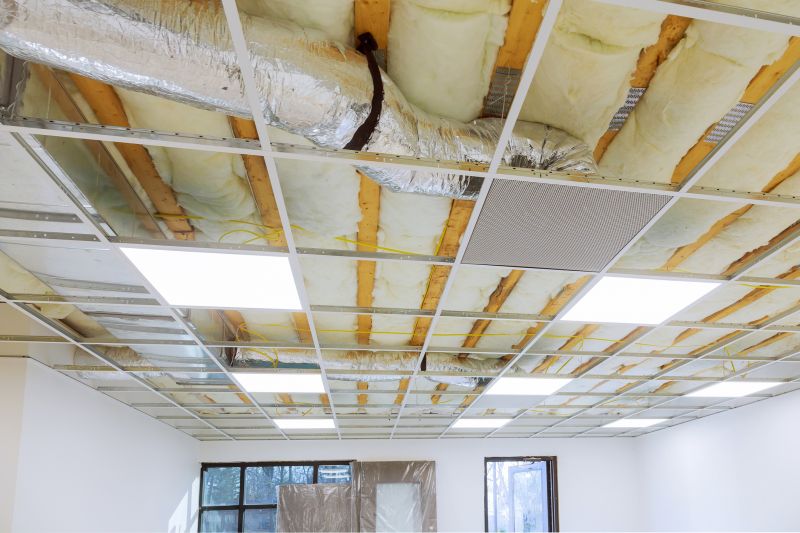 Ceiling Removal Service in Denver, CO