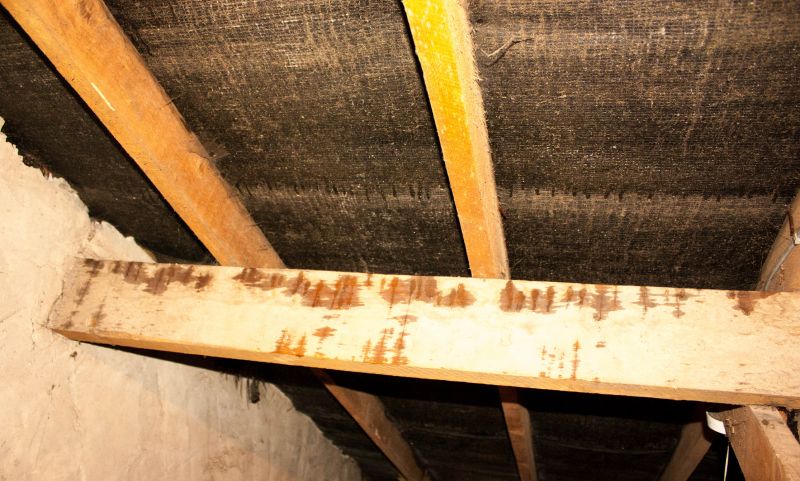 House Restoration in Conroe, TX