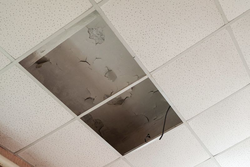 Leaking Ceiling Repair in Charleston, SC