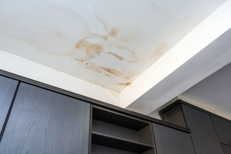 Leaking Ceiling Repair in Katy, TX