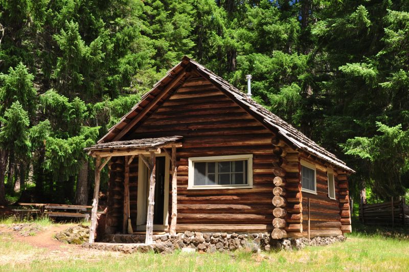 Log Home Repair in Denver County, CO